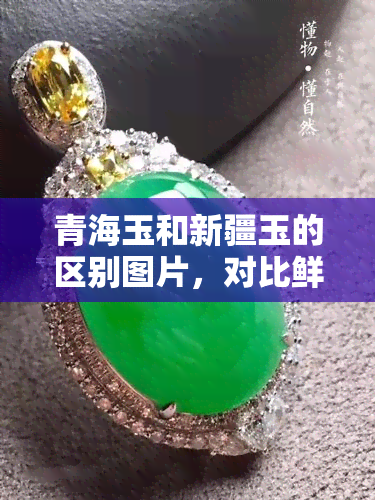 青海玉和新疆玉的区别图片，对比鲜明：青海玉与新疆玉的图片区别