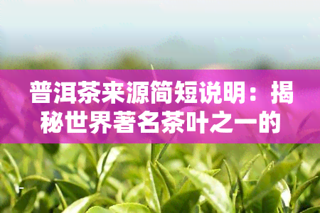 普洱茶来源简短说明：揭秘世界著名茶叶之一的起源与发展