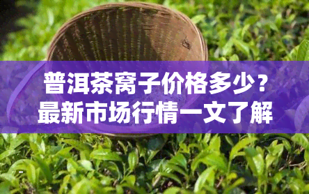 普洱茶窝子价格多少？最新市场行情一文了解！