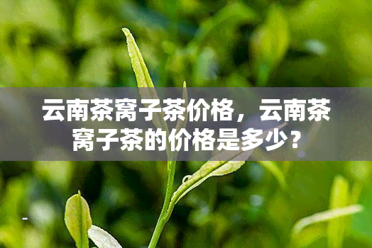 云南茶窝子茶价格，云南茶窝子茶的价格是多少？