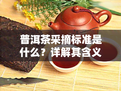 普洱茶采摘标准是什么？详解其含义与要求