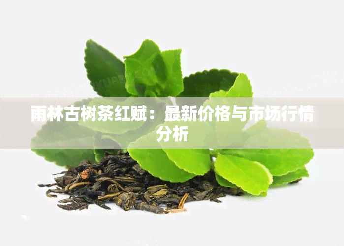 雨林古树茶红赋：最新价格与市场行情分析