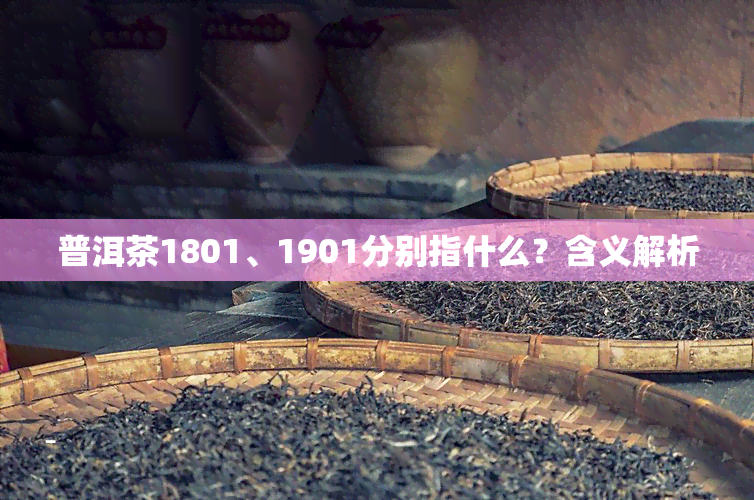 普洱茶1801、1901分别指什么？含义解析