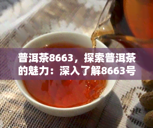 普洱茶8663，探索普洱茶的魅力：深入了解8663号普洱茶的故事与口感