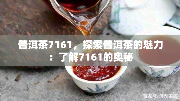 普洱茶7161，探索普洱茶的魅力：了解7161的奥秘