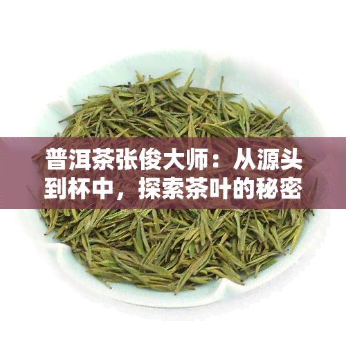 普洱茶张俊大师：从源头到杯中，探索茶叶的秘密