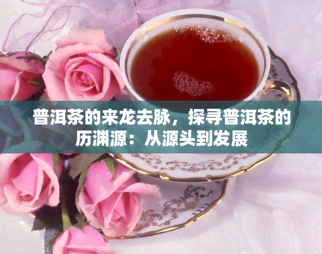 普洱茶的来龙去脉，探寻普洱茶的历渊源：从源头到发展