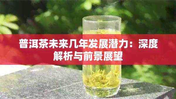 普洱茶未来几年发展潜力：深度解析与前景展望