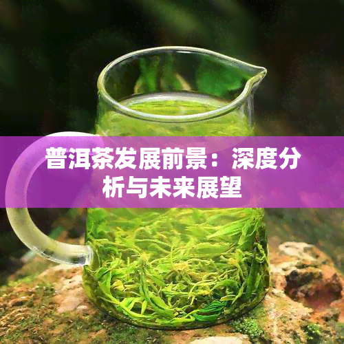 普洱茶发展前景：深度分析与未来展望