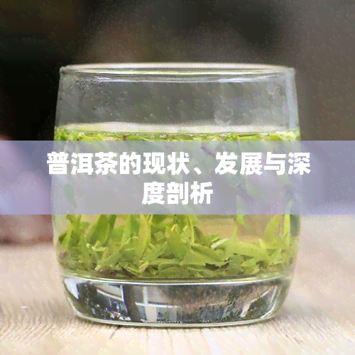 普洱茶的现状、发展与深度剖析