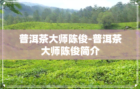 普洱茶大师陈俊-普洱茶大师陈俊简介