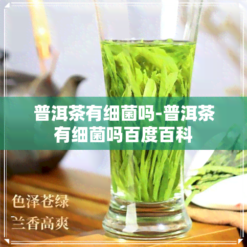 普洱茶有细菌吗-普洱茶有细菌吗百度百科