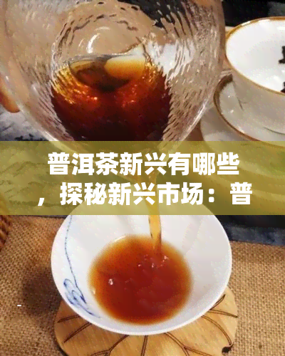 普洱茶新兴有哪些，探秘新兴市场：普洱茶盘点