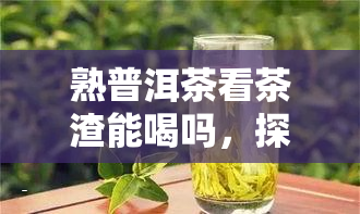 熟普洱茶看茶渣能喝吗，探讨熟普洱茶：看茶渣是否可以饮用？