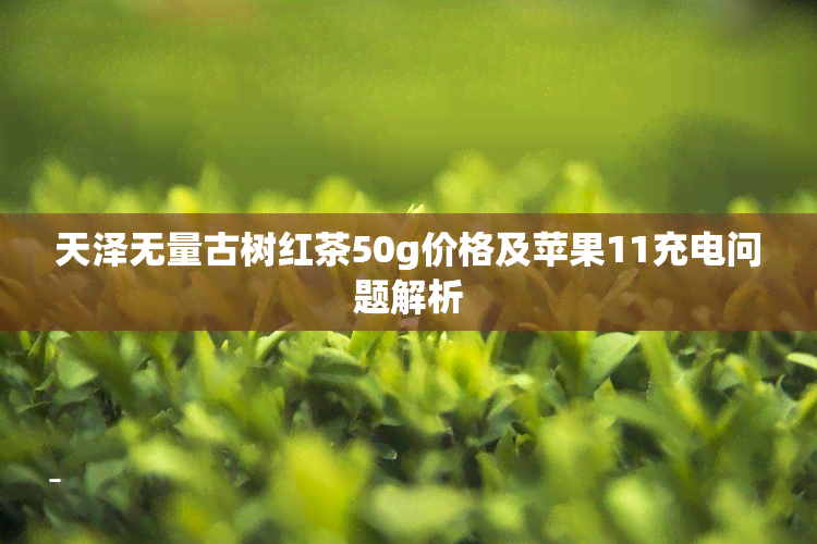 天泽无量古树红茶50g价格及苹果11充电问题解析