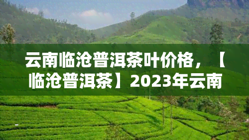 云南临沧普洱茶叶价格，【临沧普洱茶】2023年云南临沧普洱茶叶价格行情表，今日最新收购价！