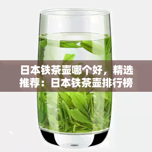 铁茶壶哪个好，精选推荐：铁茶壶排行榜