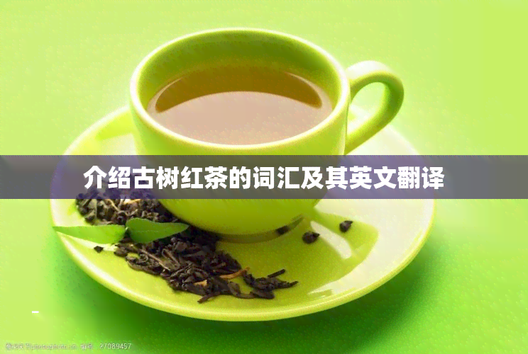 介绍古树红茶的词汇及其英文翻译