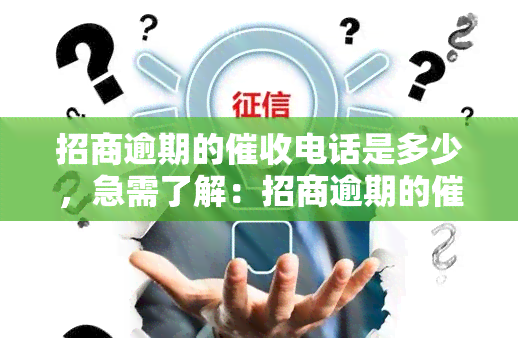 招商逾期的电话是多少，急需了解：招商逾期的电话号码是什么？