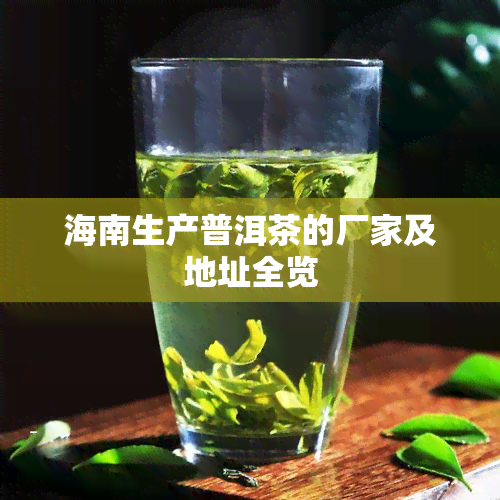 海南生产普洱茶的厂家及地址全览