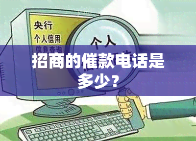 招商的催款电话是多少？