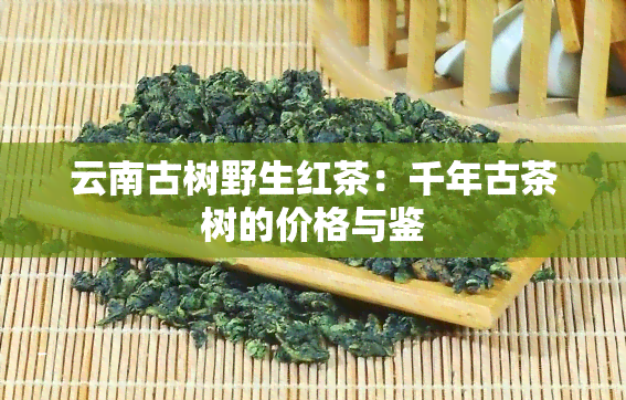 云南古树野生红茶：千年古茶树的价格与鉴