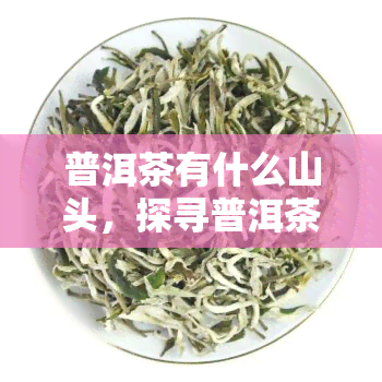 普洱茶有什么山头，探寻普洱茶的魅力：揭秘各大山头的特色与口感