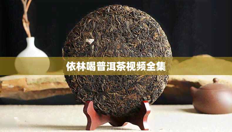 依林喝普洱茶视频全集