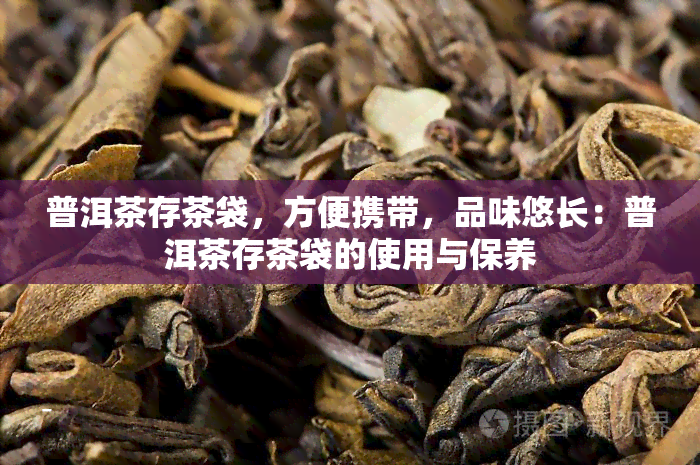 普洱茶存茶袋，方便携带，品味悠长：普洱茶存茶袋的使用与保养