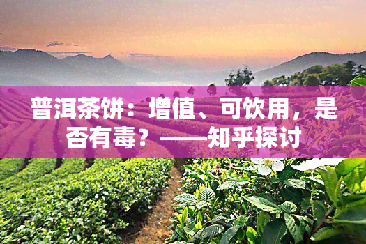 普洱茶饼：增值、可饮用，是否有？——知乎探讨