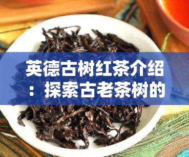 英德古树红茶介绍：探索古老茶树的魅力与制作工艺