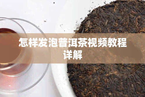 怎样发泡普洱茶视频教程详解