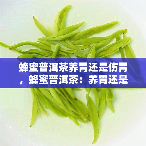 蜂蜜普洱茶养胃还是伤胃，蜂蜜普洱茶：养胃还是伤胃？