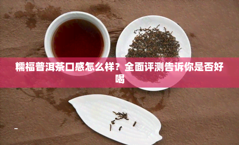 糯福普洱茶口感怎么样？全面评测告诉你是否好喝