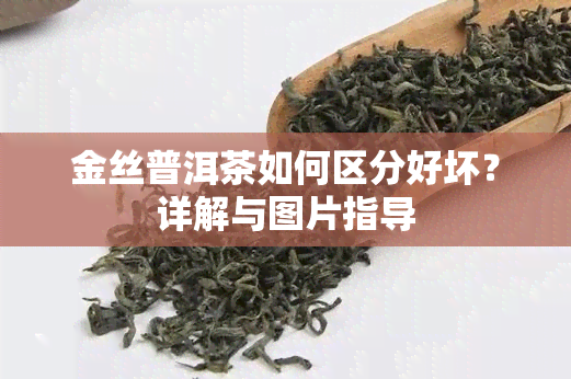 金丝普洱茶如何区分好坏？详解与图片指导