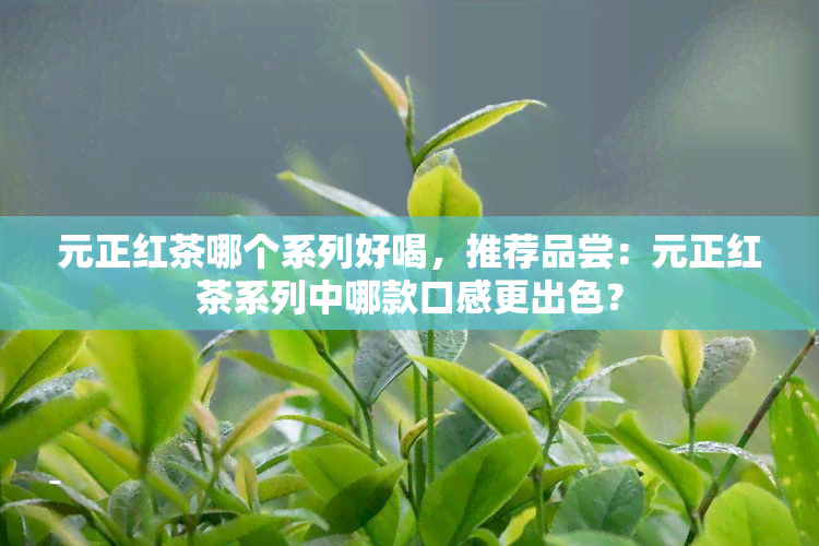 元正红茶哪个系列好喝，推荐品尝：元正红茶系列中哪款口感更出色？