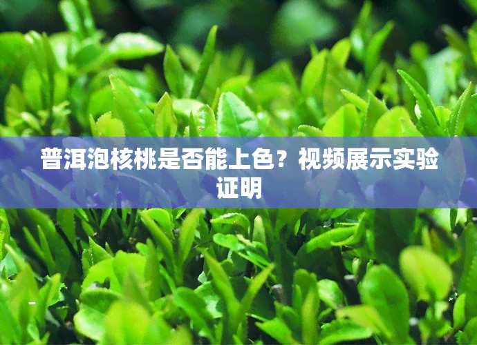 普洱泡核桃是否能上色？视频展示实验证明