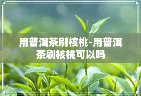 用普洱茶刷核桃-用普洱茶刷核桃可以吗