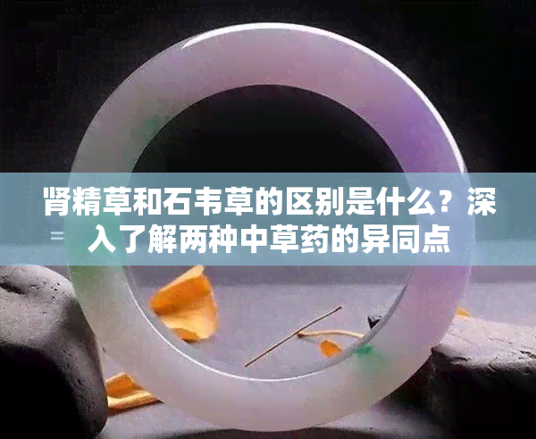 肾精草和石韦草的区别是什么？深入了解两种中草的异同点