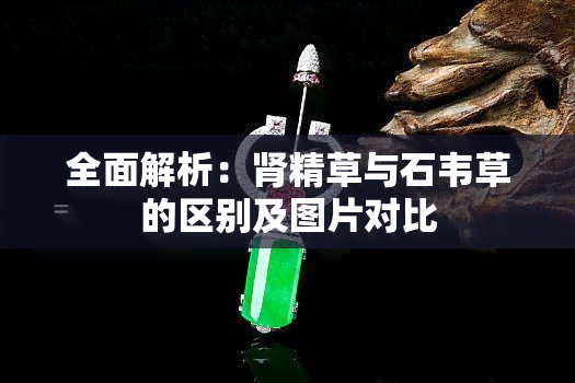 全面解析：肾精草与石韦草的区别及图片对比