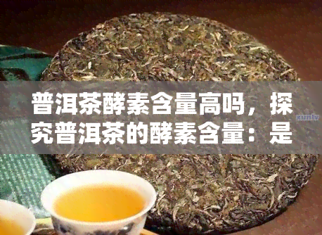 普洱茶酵素含量高吗，探究普洱茶的酵素含量：是否真的高？