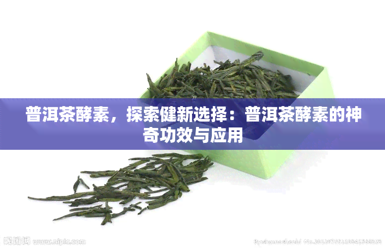 普洱茶酵素，探索健新选择：普洱茶酵素的神奇功效与应用