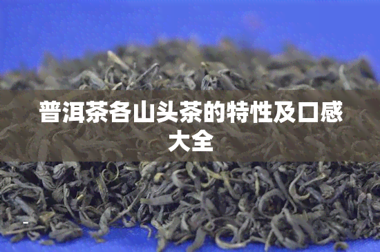 普洱茶各山头茶的特性及口感大全