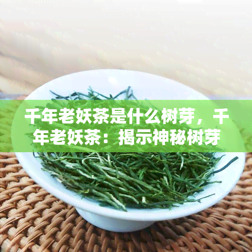 千年老妖茶是什么树芽，千年老妖茶：揭示神秘树芽的身世之谜