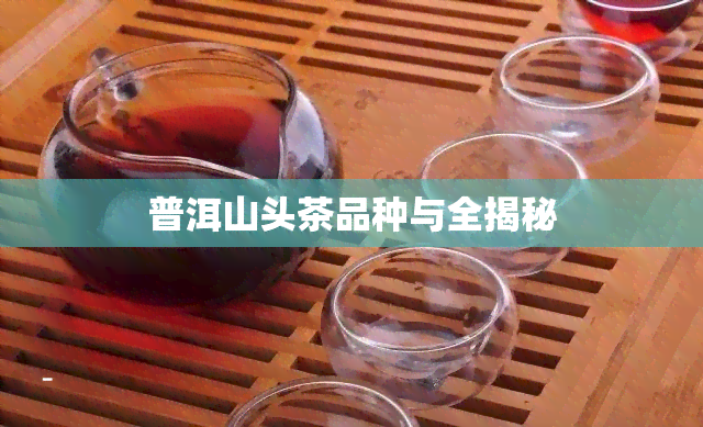 普洱山头茶品种与全揭秘