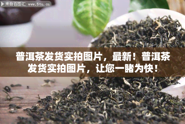 普洱茶发货实拍图片，最新！普洱茶发货实拍图片，让您一为快！