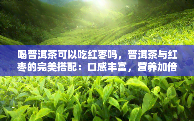 喝普洱茶可以吃红枣吗，普洱茶与红枣的完美搭配：口感丰富，营养加倍！