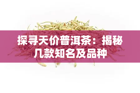 探寻天价普洱茶：揭秘几款知名及品种