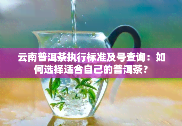 云南普洱茶执行标准及号查询：如何选择适合自己的普洱茶？