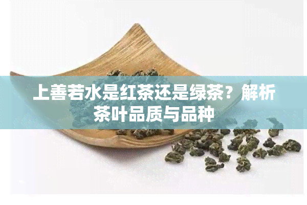 上善若水是红茶还是绿茶？解析茶叶品质与品种